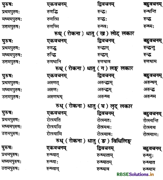 RBSE Class 11 Sanskrit व्याकरणम् धातु-रूप 53