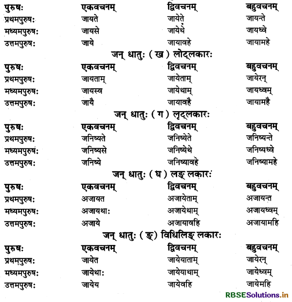 RBSE Class 11 Sanskrit व्याकरणम् धातु-रूप 59