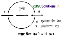 rbse-class-11-geography-important-questions-chapter-14-part-1-in-hindi  8