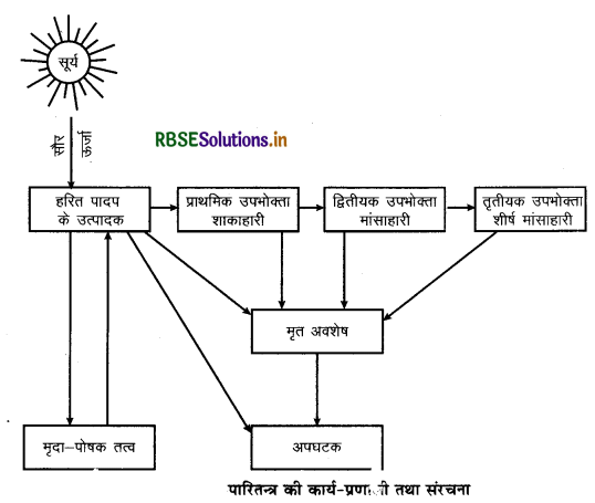 RBSE Class 11 Geography Important Questions Chapter 15 पृथ्वी पर जीवन 1