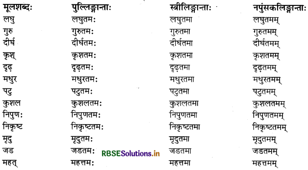 RBSE Class 11 Sanskrit व्याकरणम् प्रत्यय-ज्ञान 14