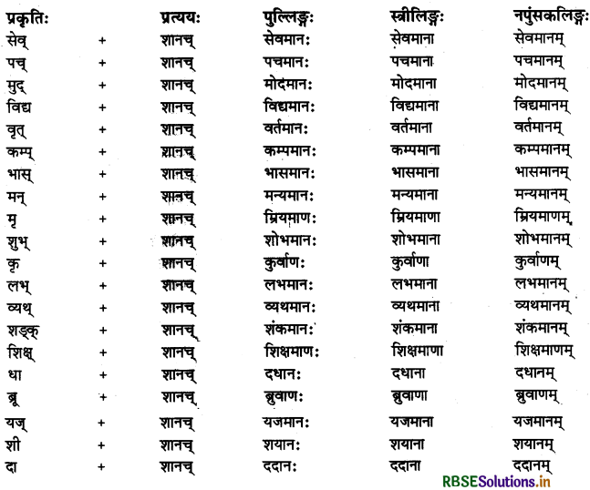 RBSE Class 11 Sanskrit व्याकरणम् प्रत्यय-ज्ञान 3