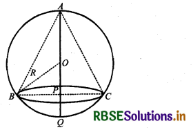 RBSE Solutions for Class 12 Maths Chapter 6 Application of Derivatives Ex 6.5 30