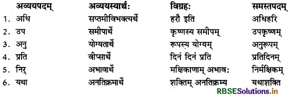 RBSE Class 11 Sanskrit व्याकरणम् समास-ज्ञानम् 1