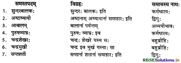 RBSE Class 11 Sanskrit व्याकरणम् समास-ज्ञानम् 2