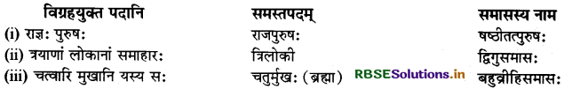 RBSE Class 11 Sanskrit व्याकरणम् समास-ज्ञानम् 4