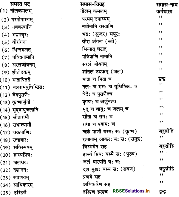 RBSE Class 11 Sanskrit व्याकरणम् समास-ज्ञानम् 5