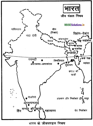 RBSE Class 11 Geography Important Questions Chapter 5 प्राकृतिक वनस्पति - 2