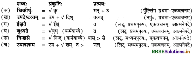 RBSE Class 12 Sanskrit व्याकरणम् प्रत्ययाः 24