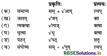 RBSE Class 12 Sanskrit व्याकरणम् प्रत्ययाः 27