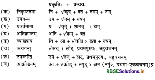 RBSE Class 12 Sanskrit व्याकरणम् प्रत्ययाः 28