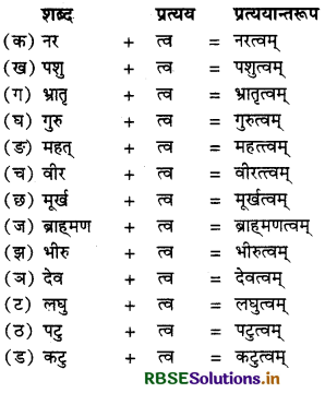 RBSE Class 12 Sanskrit व्याकरणम् प्रत्ययाः 3