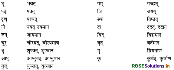 RBSE Class 12 Sanskrit व्याकरणम् प्रत्ययाः 5