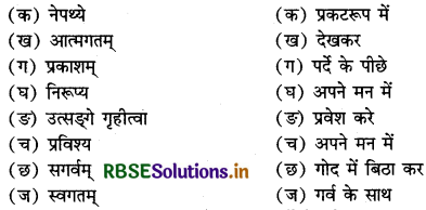 RBSE Solutions for Class 12 Sanskrit Shashwati Chapter 3 बालकौतुकम् 3