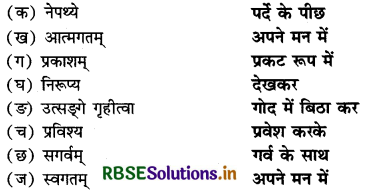 RBSE Solutions for Class 12 Sanskrit Shashwati Chapter 3 बालकौतुकम् 4