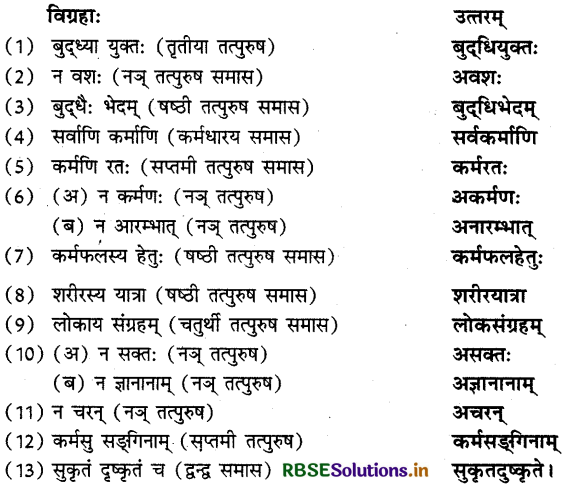 RBSE Solutions for Class 12 Sanskrit Shashwati Chapter 4 कर्मगौरवम् 3