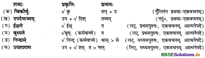 RBSE Solutions for Class 12 Sanskrit Shashwati Chapter 5 शुकनासोपदेशः 2