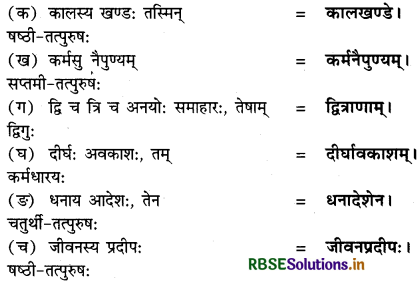 RBSE Solutions for Class 12 Sanskrit Shashwati Chapter 10 दीनबन्धुः श्रीनायारः 2