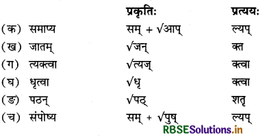 RBSE Solutions for Class 12 Sanskrit Shashwati Chapter 10 दीनबन्धुः श्रीनायारः 3
