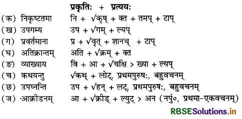 RBSE Solutions for Class 12 Sanskrit Shashwati Chapter 11 उद्भिज्ज-परिषद् 1