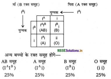 RBSE Solutions for Class 12 Biology Chapter 5 वंशागति तथा विविधता के सिद्धांत 7