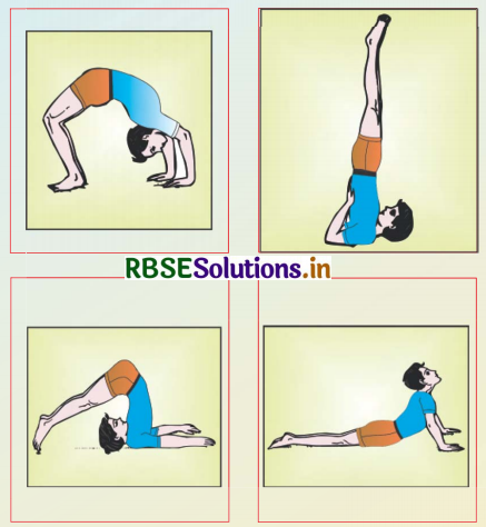 RBSE Solutions for Class 5 English Chapter 2 Let’s Learn Pranayam 3