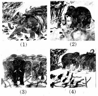 RBSE Solutions for Class 5 English Chapter 3 The Rats and the Elephants 4