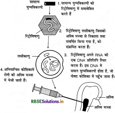 RBSE Solutions for Class 12 Biology Chapter 12 जैव प्रौद्योगिकी एवं उसके उपयोग 1