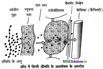 RBSE Solutions for Class 12 Biology Chapter 12 जैव प्रौद्योगिकी एवं उसके उपयोग 3