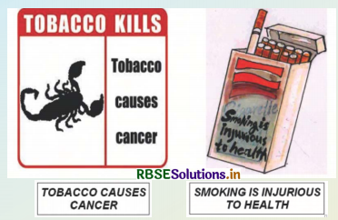 RBSE Solutions for Class 5 English Chapter 10 Say No to Tobacco