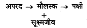 RBSE Solutions for Class 12 Biology Chapter 14 पारितंत्र 2