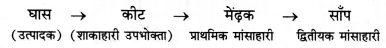 RBSE Solutions for Class 12 Biology Chapter 14 पारितंत्र 5