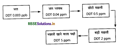 RBSE Solutions for Class 12 Biology Chapter 16 पर्यावरण के मुद्दे 1