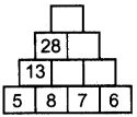 RBSE 5th Class Maths Solutions Chapter 8 Patterns 29