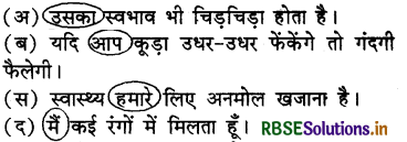 RBSE Solutions for Class 4 Hindi Chapter 10 कूड़ेदान की कहानी, अपनी जुबानी 8