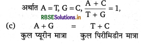RBSE Class 12 Biology Important Questions Chapter 6 वंशागति के आणविक आधार 13