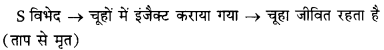RBSE Class 12 Biology Important Questions Chapter 6 वंशागति के आणविक आधार 15