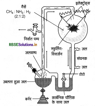 RBSE Class 12 Biology Important Questions Chapter 7 विकास 9