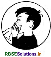 RBSE Class 12 Biology Important Questions Chapter 8 मानव स्वास्थ्य तथा रोग 8
