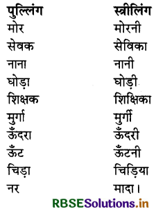RBSE Class 4 Hindi Vyakaran व्याकरण 3
