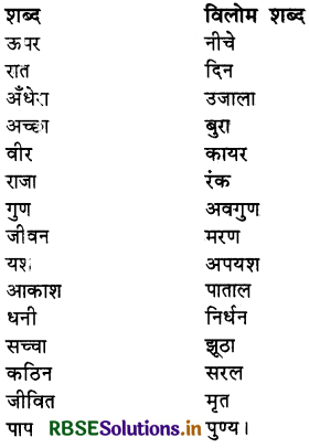 RBSE Class 4 Hindi Vyakaran व्याकरण 5