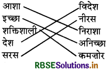 RBSE Solutions for Class 3 Hindi Chapter 1 देश की माटी 1