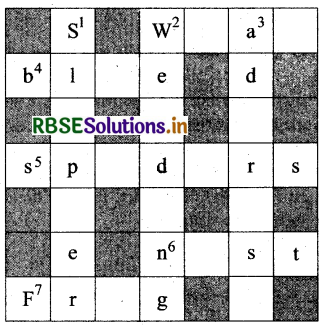 RBSE Solutions for Class 4 English Chapter 8 Kalpna Chawla The Star 1