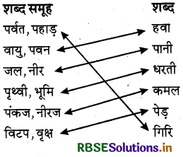 RBSE Solutions for Class 3 Hindi Chapter 11 अपना देश 1