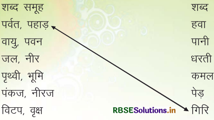 RBSE Solutions for Class 3 Hindi Chapter 11 अपना देश 3
