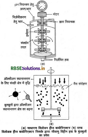 RBSE Class 12 Biology Important Questions Chapter 11 जैव प्रौद्योगिकी-सिद्धांत व प्रक्रम 3