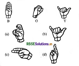 RBSE Solutions for Class 5 EVS Chapter 3 We are Special 5