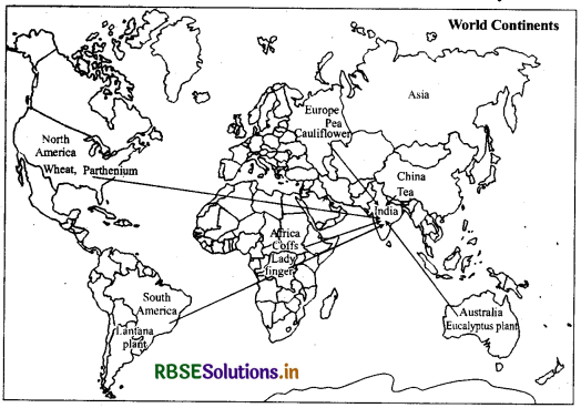 RBSE Solutions for Class 5 EVS Chapter 6 Seed Becomes Plant 1