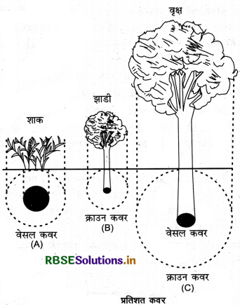 RBSE Class 12 Biology Important Questions Chapter 13 जीव और समष्टियाँ 4