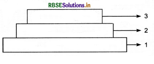 RBSE Class 12 Biology Important Questions Chapter 13 जीव और समष्टियाँ 8
